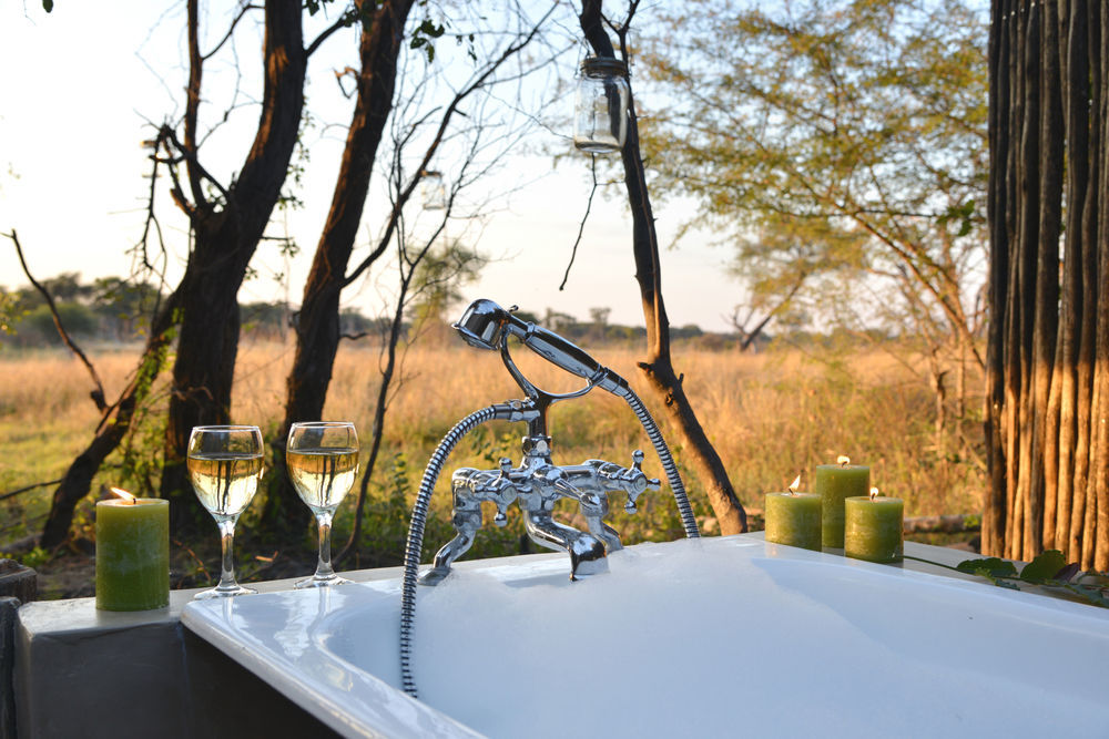 Hôtel The Hide Safari Camp à Dete Extérieur photo