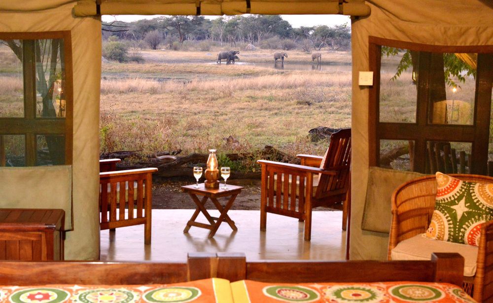 Hôtel The Hide Safari Camp à Dete Extérieur photo