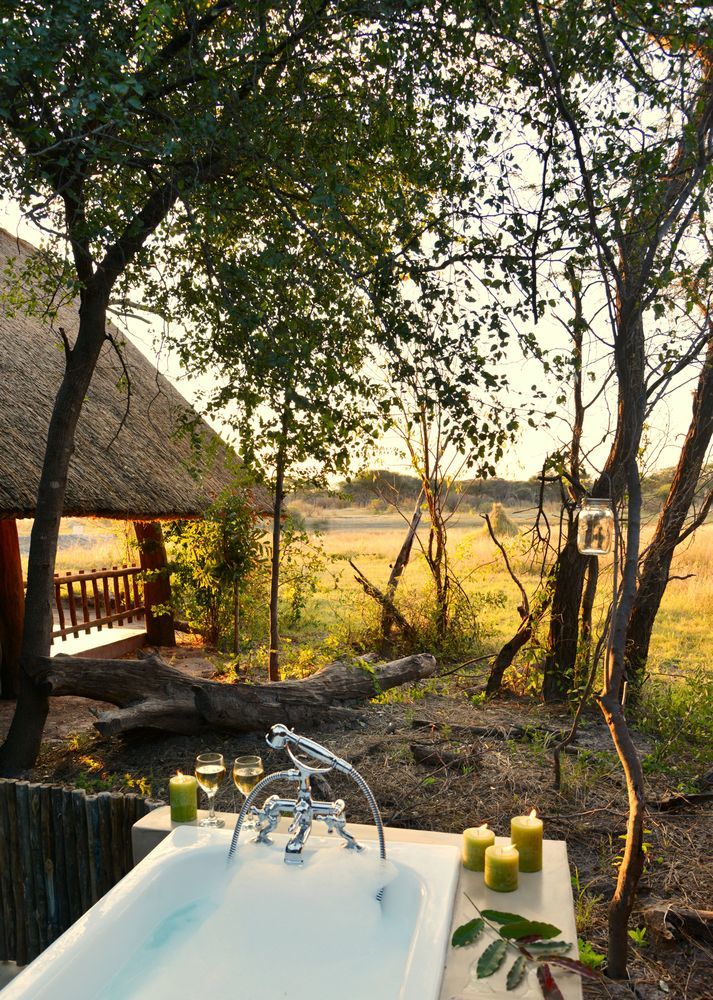 Hôtel The Hide Safari Camp à Dete Extérieur photo
